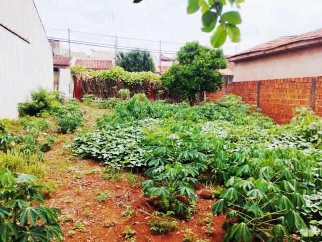 Terreno Venda Jardim Carolina em Jaú