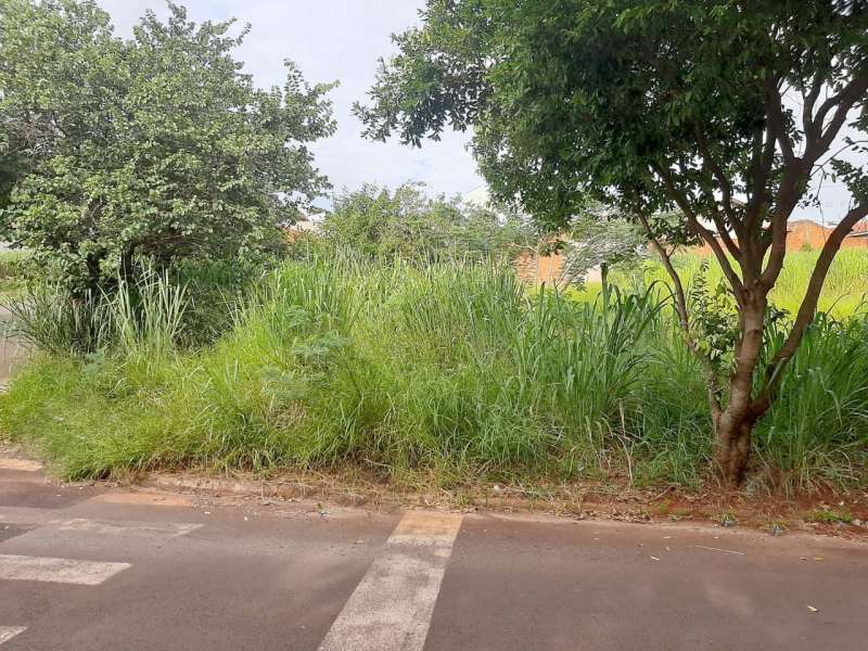 Terreno à Venda no bairro Jardim Conde do Pinhal 1 em Jaú imagem 3